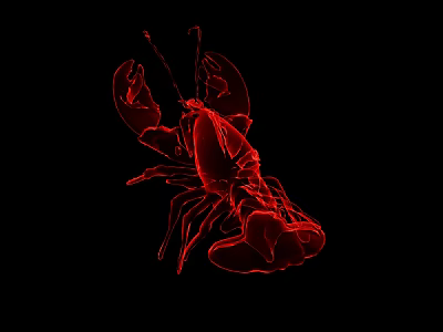Vivid Red Reptile Silhouette On Black Background With Clear Textured Details 3d model