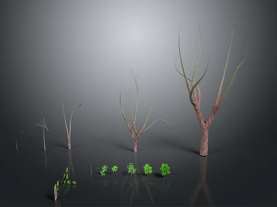 Dry Trees And Small Green Plants Of Various Sizes In Dark Environment 3d model