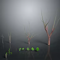 Dry Trees And Small Green Plants Of Various Sizes In Dark Environment