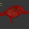 Reddish Brown Turtle With Detailed Shell Patterns On Dark Reflective Background 3d model