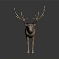 Realistic Brown Deer Statue With Large Antlers And Lifelike Details