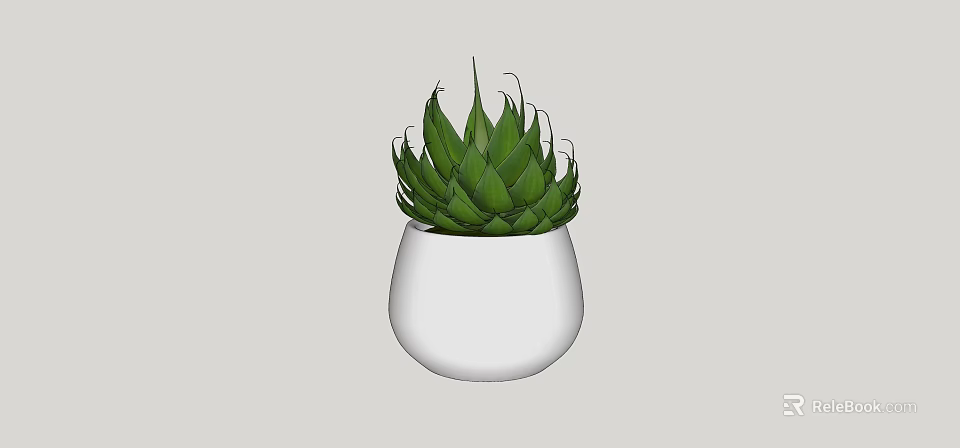 Decorative Bonsai Potted Plant in White Pot with Green Succulent Leaves 3d model 