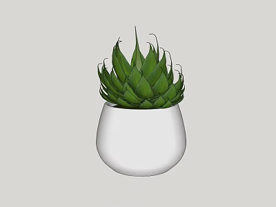 Decorative Bonsai Potted Plant in White Pot with Green Succulent Leaves 3d model