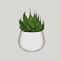 Decorative Bonsai Potted Plant in White Pot with Green Succulent Leaves