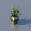 Potted Bonsai Plant in Brown Square Pot with Base Long Green Leaves Small White Flowers