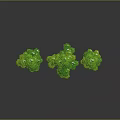 Three Different Sizes of Green Trees with Lush Foliage and Textured Trunks on Dark Background
