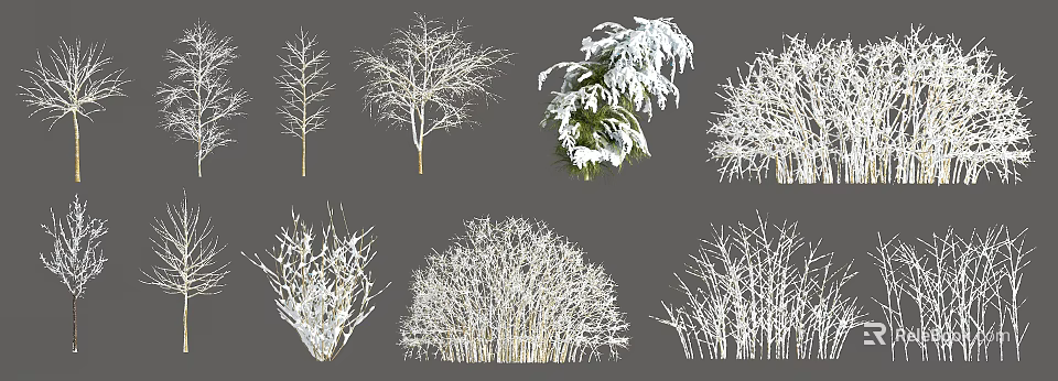 Diverse Deciduous Trees With Snow Covered Branches And Various Canopy Shapes 3d model 