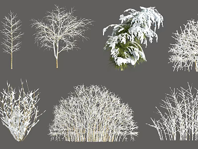 Diverse Deciduous Trees With Snow Covered Branches And Various Canopy Shapes 3d model