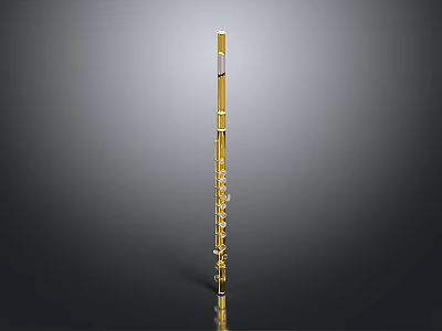 Professional Golden Flute Musical Instrument With Brass Body And Key Mechanism 3d model