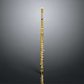 Professional Golden Flute Musical Instrument With Brass Body And Key Mechanism