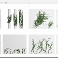 Vine combination Vine 3d model