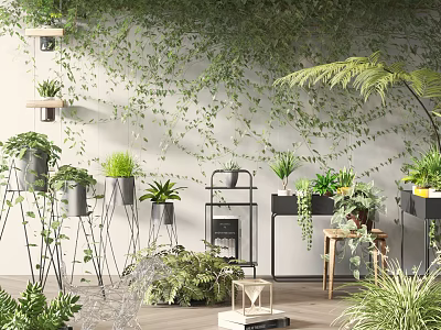Bonsai Potted Plants Displayed On Indoor Racks Wall With Green Vines 3d model