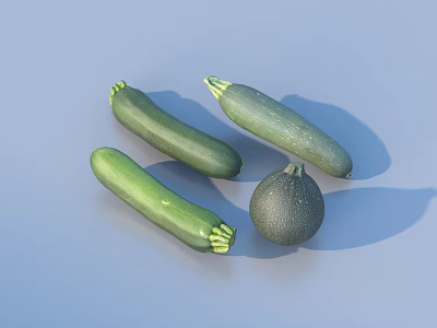 Vibrant Fresh Vegetables Three Zucchinis and One Small Pumpkin on Blue Background 3d model