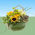 Stylish Indoor Bonsai Plant with Lush Green Leaves in Ceramic Pot for Home Decor