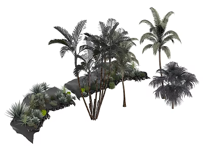 Tropical Palm Trees And Various Green Plants In Garden Landscape Design 3d model
