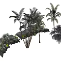 Tropical Palm Trees And Various Green Plants In Garden Landscape Design