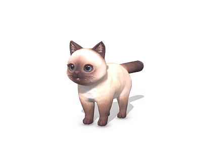3D Modeled Siamese Cat Character With Blue Eyes Cream Fur And Dark Points 3d model