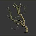 Natural Looking Decorative Dry Tree Branch With Multiple Twigs And Base
