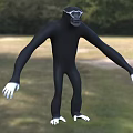 Black Reptile With White Hands Feet And Goggles Standing In Grassland Near Trees