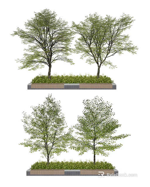 Two Arbor Trees In Rectangular Planting Bed With Lush Green Foliage 3d model 