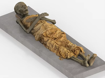 Ancient Mummy Skeleton With Wrapped Cloth Lying On Stone Slab 3d model Ancient Mummy Skeleton With Wrapped Cloth Lying On Stone Slab 3d model