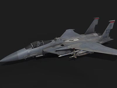 Gray Military Fighter Jet With Cockpit Attached Missiles And Tail Number 227 3d model
