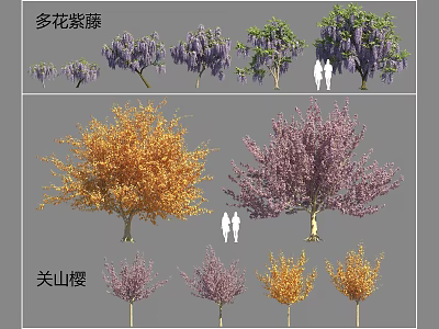 Ornamental Trees Wisteria and Kanzan Cherry with Purple and Orange Blooming Flowers 3d model