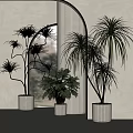 Elegant Indoor Potted Plants With White Planters Archway And Bright Light Decor