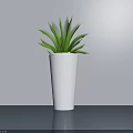 Green Leaf Potted Plant in White Pot on Gray Tabletop with Light Gray Wall