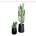 Two Decorative Cactus Potted Plants In Black Pots For Indoor Home Decor