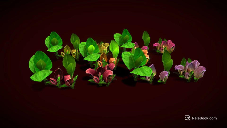 Vibrant Calla Lily Plants With Green Leaves And Pink Purple Blooms 3d model 