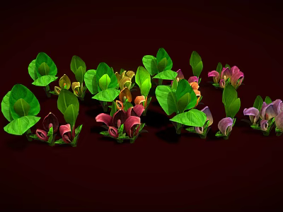 Vibrant Calla Lily Plants With Green Leaves And Pink Purple Blooms 3d model