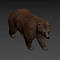 Realistic Brown Bear 3D Model With Walking Posture And Brown Fur
