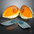 Split Exotic Fruit With Vibrant Orange Interior And Blue Outer Layers