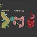 Mouth Intake Of Laxatives And Cathartics Affecting Intestinal Digestive Process