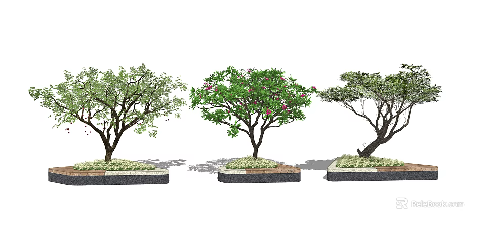 Urban Tree Pit Design Featuring Various Trees With Flowering And Green Foliage 3d model