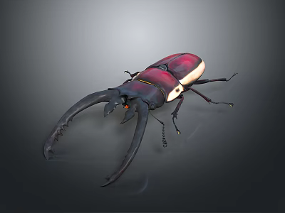 Vibrant Red And Black Beetle With Large Curved Horns On Dark Background 3d model