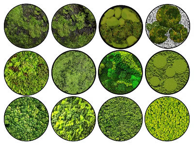 Various Green Plant Varieties For Living Plant Wall Decoration Design 3d model