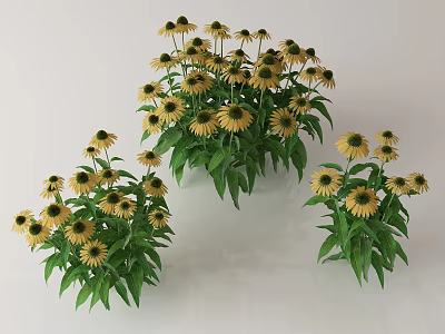 Vibrant Yellow Flowers With Green Leaves In Lush Garden Clusters 3d model