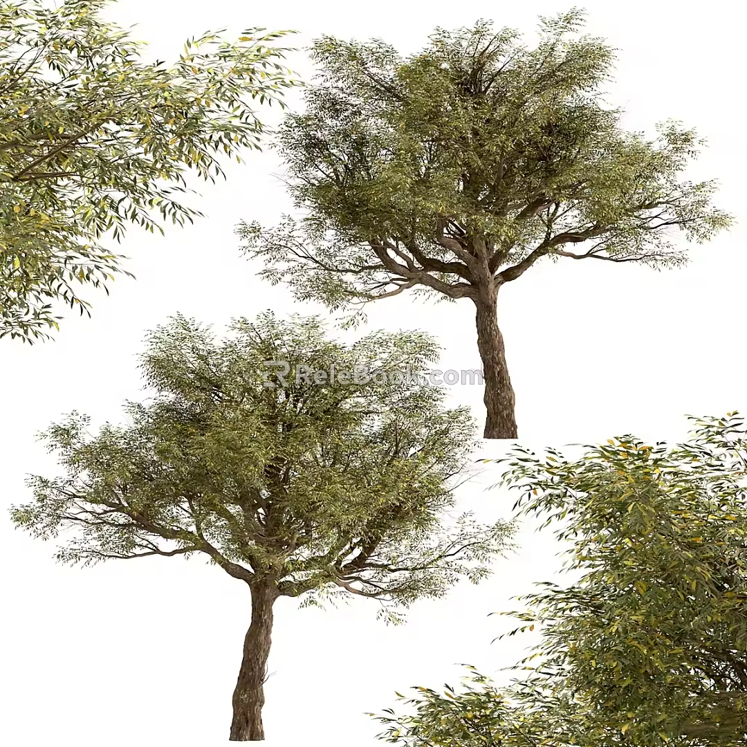 Landscape trees, big trees, street trees 3d model