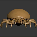 Golden Spider Metallic Sculpture on Black Background with Shiny Reflection