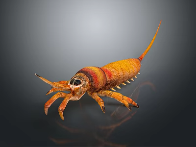 Prehistoric Orange Red Arthropod Creature With Long Tail And Sharp Pincers 3d model