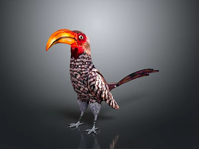 Colorful Bird With Large Orange Beak Red Head And Spotted Body Feathers Standing Isolated 3d model