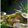 Half Sliced Avocado on Green Mossy Rock with Ferns Sunlight and Water