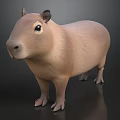 Realistic Light Brown Capybara 3D Model Standing On Dark Background