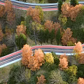 Winding Road Through Colorful Autumn Forest With Lush Trees