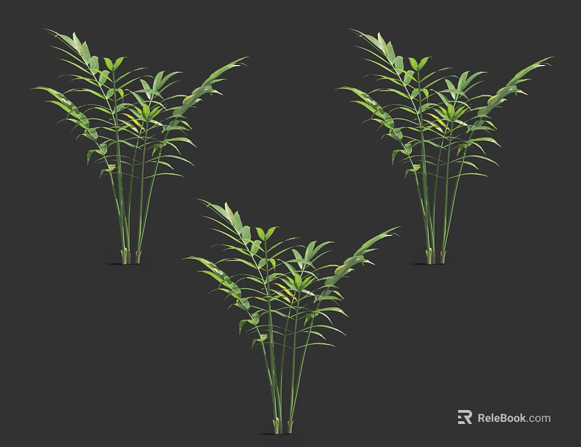 Green Bamboo Plants With Lush Leaves And Multiple Stems In Natural Growth 3d model 