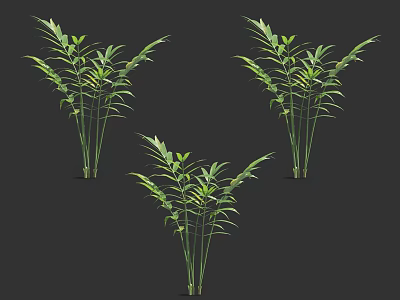 Green Bamboo Plants With Lush Leaves And Multiple Stems In Natural Growth 3d model