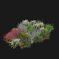Colorful Garden Shrubs With Vibrant Purple Pink And White Flowers And Green Foliage