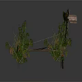 Classic Wooden Carriage Decorated With Lush Green Vines And Rustic Design Elements